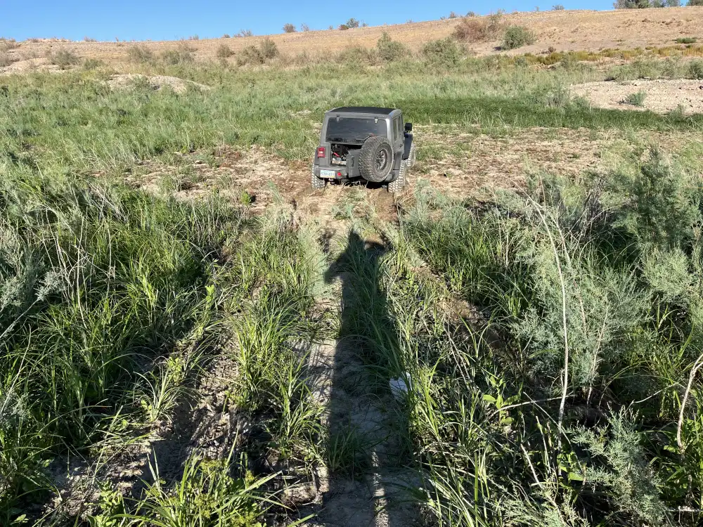 Jeep Stuck