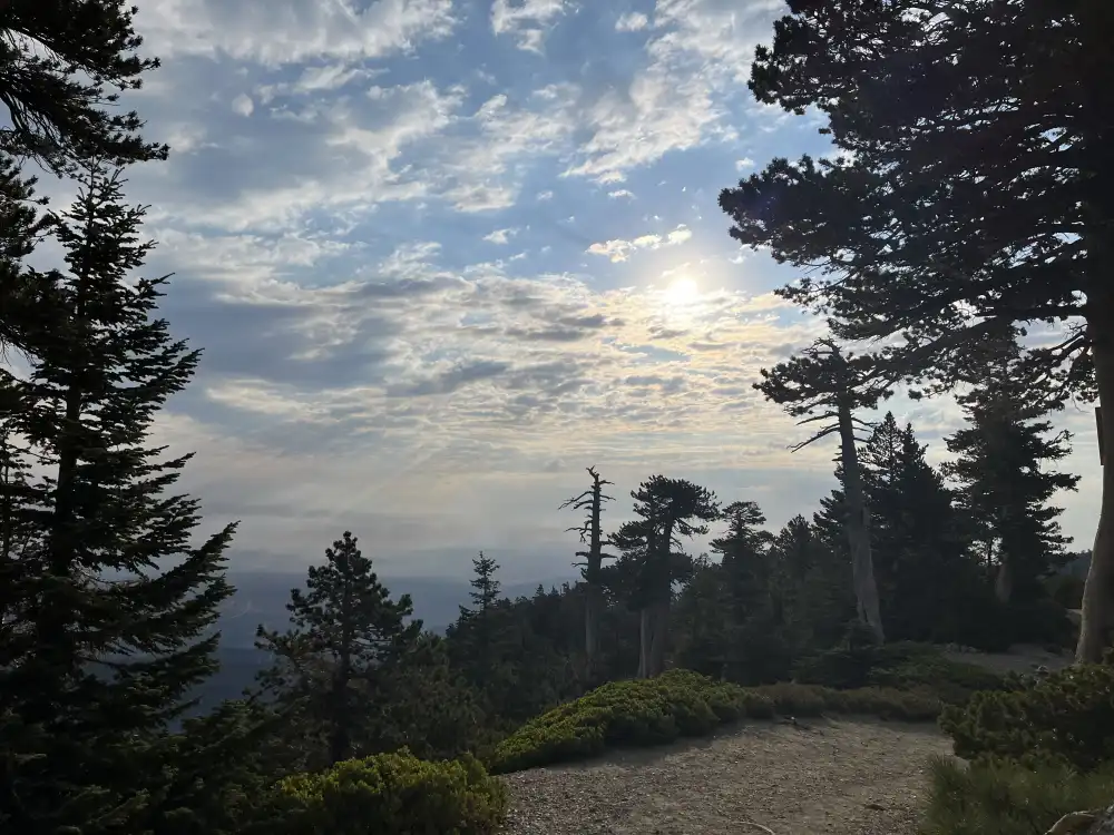 Morning sun on hike at Mt. Baldy