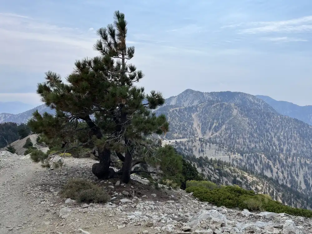 picture of ski slopes and Notch in summer