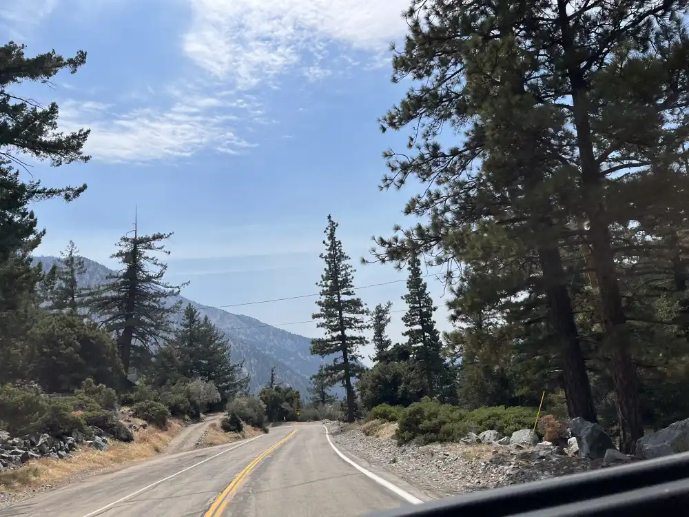 Mt Baldy Rd