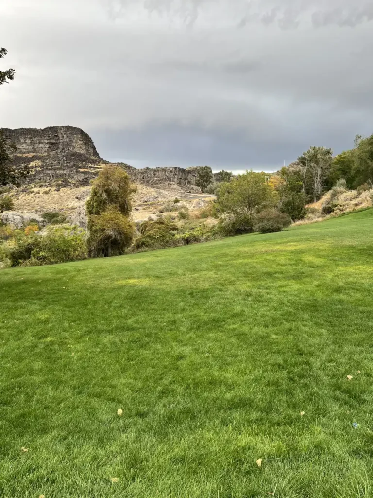 grass field at Shoshone Falls