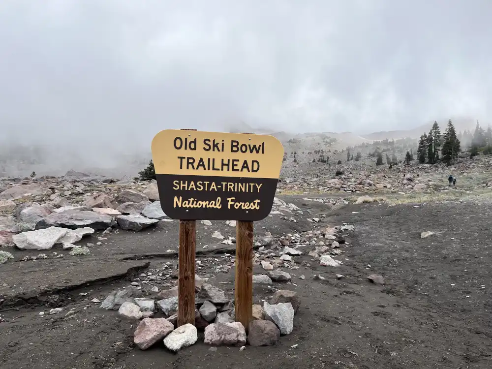 Mt Shasta sign